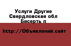 Услуги Другие. Свердловская обл.,Бисерть п.